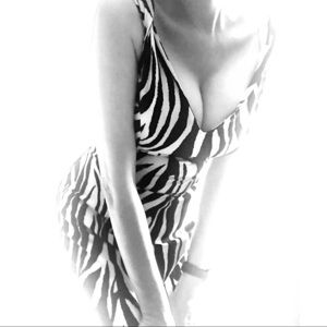 Calvin Klein Figure Hugging Retro Zebra Dress New